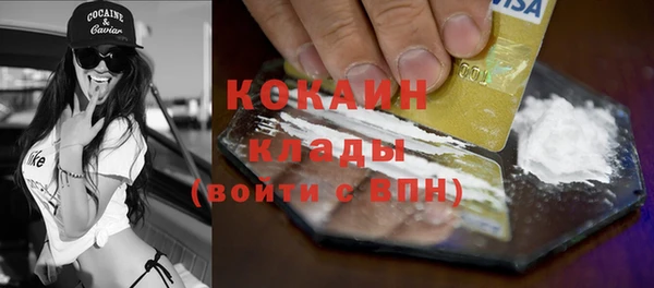мдпв Богородицк