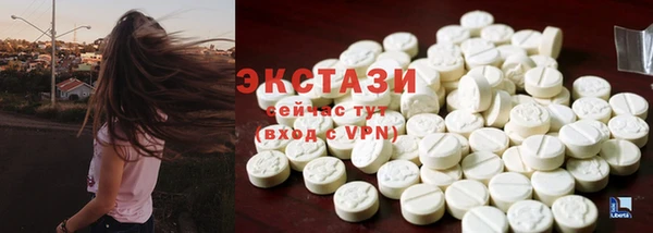 мдпв Богородицк