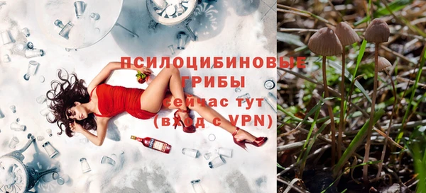 мяу мяу мука Богородск
