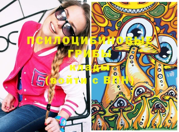 мдпв Богородицк