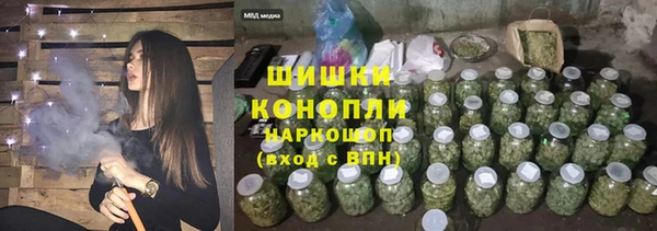 мдпв Богородицк