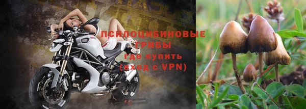 мдпв Богородицк