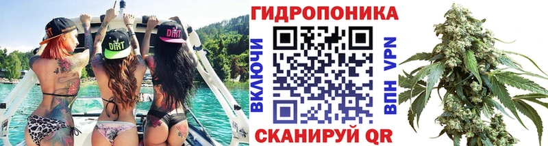 закладки  Шахунья  Бошки марихуана планчик 